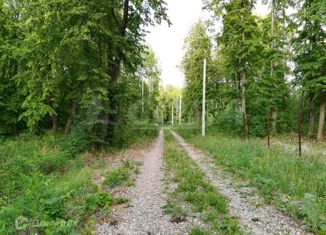 Земельный участок на продажу, 30 сот., садовое товарищество Сотовик