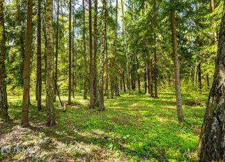 Продажа участка, 22.5 сот., коттеджный поселок Лесные Зори