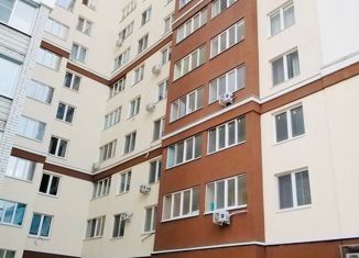 Продается однокомнатная квартира, 43.51 м2, Саратовская область, Новоузенская улица, 89к1