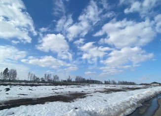 Продам участок, 8.24 сот., деревня Канищево