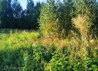 Продаю дом, 28.2 м2, деревня Красный Яр, Зелёная улица, 12