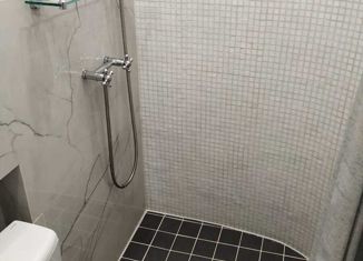 Сдам в аренду квартиру студию, 17 м2, Санкт-Петербург, Свечной переулок, 27, Свечной переулок