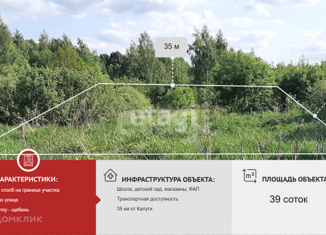 Продажа земельного участка, 39 сот., село Куракино