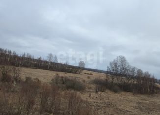 Продажа земельного участка, 33 сот., деревня Старое Ракомо, Центральная улица