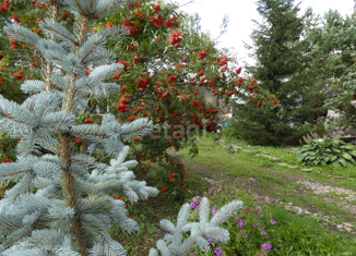 Продам дом, 80 м2, село Сокур, улица Мурашкина