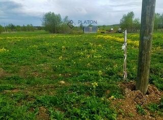 Продажа участка, 16 сот., деревня Новая, деревня Новая, 12