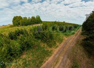 Продажа участка, 88 сот., село Борки