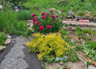 Продаю дом, 20 м2, садовое товарищество Кварц