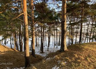 Продажа земельного участка, 22.5 сот., село Антипино