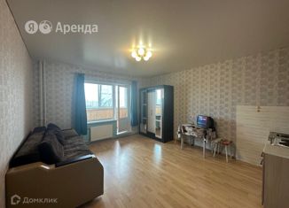 Квартира в аренду студия, 30 м2, посёлок Шушары, Московское шоссе, 246