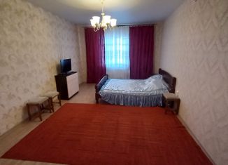 Сдаю в аренду 2-комнатную квартиру, 59 м2, деревня Кривское, Центральная улица, 63