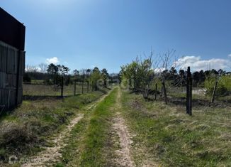 Продается участок, 8 сот., садоводческое товарищество Вымпел