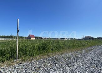 Продам участок, 12 сот., деревня Молчанова