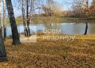 Продам участок, 100 сот., поселок Каменка, Школьный переулок, 2