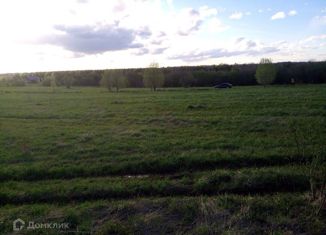 Продажа участка, 50 сот., деревня Большой Двор