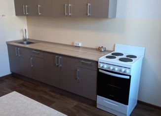 Сдача в аренду 1-комнатной квартиры, 41 м2, Мурино, Екатерининская улица, 10, ЖК Три кита