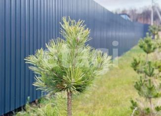 Продажа земельного участка, 30 сот., деревня Ширино