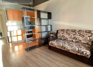 Квартира в аренду студия, 23.2 м2, Мурино, Воронцовский бульвар, 16к1, ЖК Краски Лета