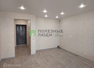 Продается квартира студия, 28 м2, село Чигири, улица Воронкова, 23