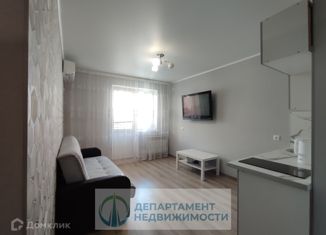 Продажа квартиры студии, 25.4 м2, Краснодар, улица Петра Метальникова, 5к1