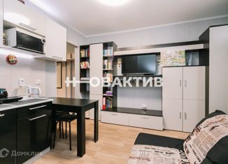 Продажа квартиры студии, 24 м2, Новосибирск, Танковая улица, 30, метро Гагаринская