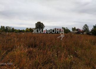 Продаю участок, 20 сот., село Шахи, улица Куйбышева