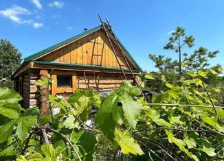 Продам дом, 35.6 м2, село Большая Валяевка, Нижняя улица, 35