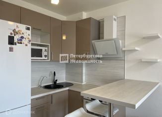 Продаю квартиру студию, 24.95 м2, Санкт-Петербург, проспект Ветеранов, 171к2, Красносельский район