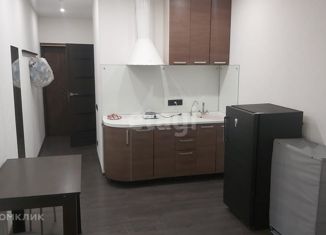 Сдам квартиру студию, 20 м2, Новосибирск, Первомайская улица, 230