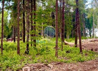 Продается участок, 15 сот., посёлок Поповка, посёлок Поповка, 991