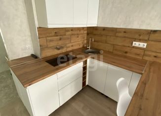 Продажа квартиры студии, 26 м2, Ижевск, Районная улица, 57к1с1, Центральный жилой район