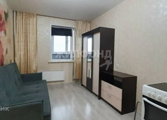 Продается квартира студия, 20.7 м2, Новосибирск, Первомайская улица, 226, Первомайская улица