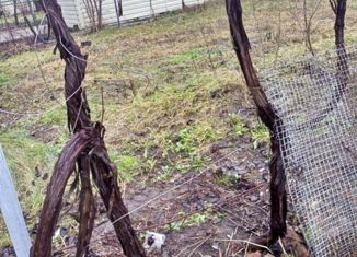 Продаю дом, 24 м2, Калининград, Центральная площадь