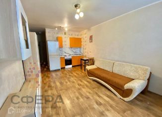 Аренда квартиры студии, 27 м2, Новосибирск, Березовая улица, 19, Березовая улица