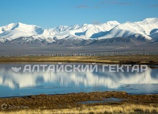 Продам участок, 7.16 сот., село Кош-Агач, площадь Ленина