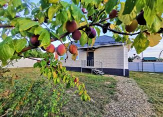 Продаю дом, 61 м2, село Мишутино, село Мишутино, вл44А