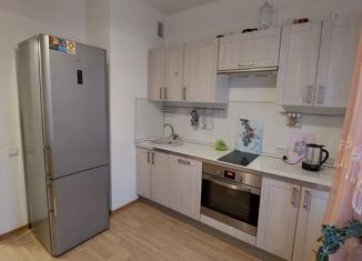 Двухкомнатная квартира в аренду, 60 м2, Санкт-Петербург, Туристская улица, 22, ЖК Марсель