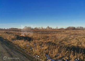 Продаю участок, 10 сот., село Салаирка