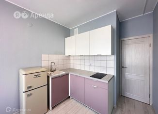 1-ком. квартира в аренду, 29 м2, Санкт-Петербург, Полюстровский проспект, 75