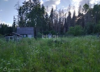 Дом на продажу, 35 м2, деревня Мужачи