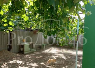 Продаю дом, 59.8 м2, поселок Стрелка, Новая улица