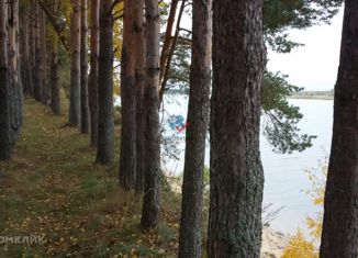 Продаю земельный участок, 2800 сот., деревня Золотуха, деревня Золотуха, 9