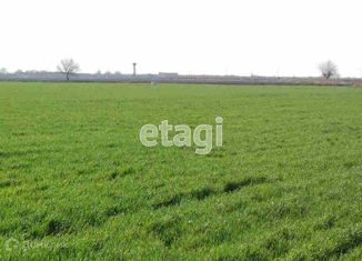 Земельный участок на продажу, 20 сот., село Хохлово