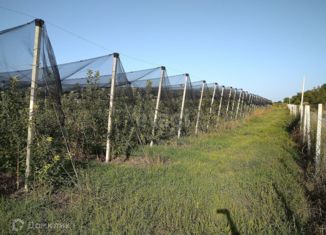 Продаю участок, 75 сот., село Ново-Полтавское, Северная улица