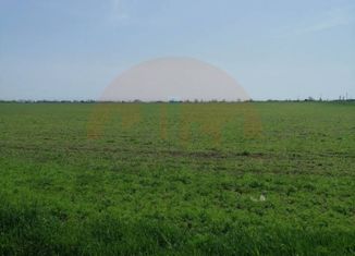 Продается участок, 440 сот., село Крайнее