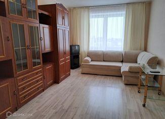 Двухкомнатная квартира в аренду, 60 м2, деревня Кудрово, Областная улица, 1