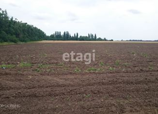 Продаю участок, 201.7 сот., станица Старокорсунская, Красная улица