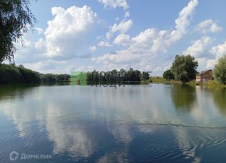 Дом на продажу, 69 м2, деревня Ясный, деревня Ясный, 49