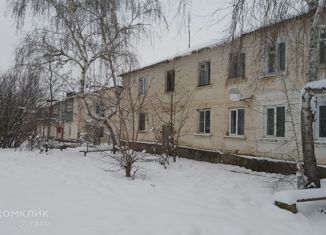 Продажа 2-комнатной квартиры, 42 м2, село Светлогорское, Центральная улица, 20