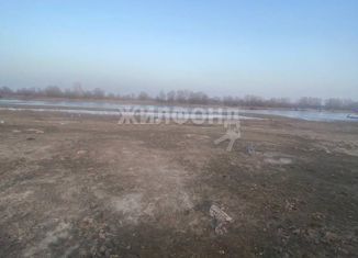 Продается земельный участок, 30 сот., село Цветное, Астраханская улица, 7